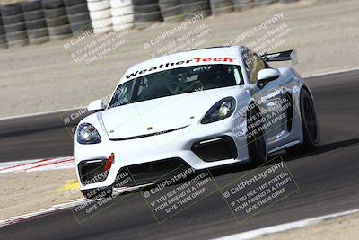 media/Aug-23-2024-Speed Ventures (Fri) [[92f1efc5e7]]/Green/Session 1 (Turn 3)/